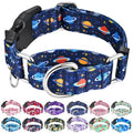 Martingale Dog Collars with Buckle No Slip Training Boy Dog Collar for Small Dogs (Blue Space, Small) - color: Blue Space, size: Small