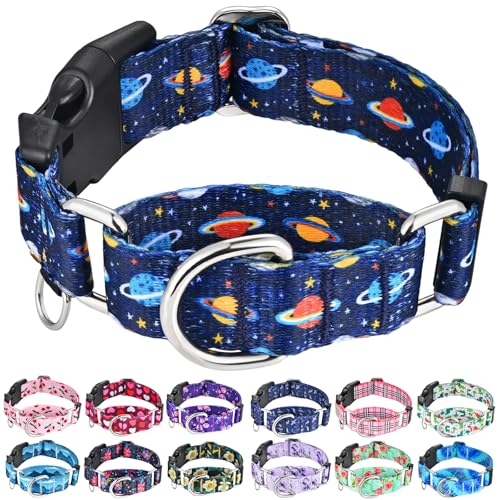 Martingale Dog Collars with Buckle No Slip Training Boy Dog Collar for Medium Dogs (Blue Space, Medium) - color: Blue Space, size: Medium