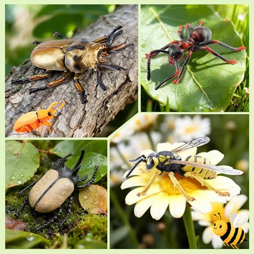Toymany 12PCS Realistic Insects Figurines Toys - Plastic Bugs Figures Set with Cricket Bee Ant Dung Beetle, Educational Toy Cake Toppers Christmas Birthday Gift for Toddlers Kids - style: Insects-1