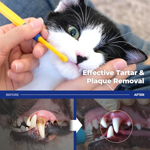 PETHROOM Pet Toothbrush for Cats & Dogs, 10 × 5 mm Small Head (Extra Small) | Ultra-Soft Fine Bristles Gently Clean Teeth and Gumlines, Helping Remove Plaque, Ideal for Kittens & Small Dogs - color: Extra Small