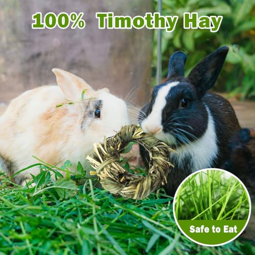 6PCS Timothy Hay Toy for Rabbits Bunny Chew Toys for Teeth Timothy Hay Rings for Small Animals Guinea Pigs Chinchillas Hamsters Bunnies Digestion Care