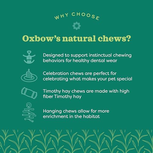 Oxbow Apple Stick Dangly, Rabbit & Guinea Pig Toy, Bunny Enrichment Chew | Oxbow Enriched Life, Rabbit Chew Toys, Guinea Pig Enrichment, Guinea Pig Chew Toys, Rabbit Enrichment, Apple Sticks - size: 1 Count (Pack of 1)