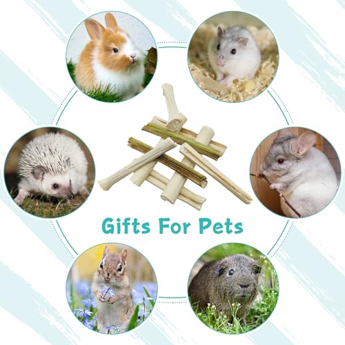 Tfwadmx Rabbit Chew Sticks, 25 Pcs Natural Sweet Bamboo Pet Snacks &40 g Papaya Stems Bunny Chews Molar Treats Chew Toy for Rabbit Guinea Pig Hamster Chinchilla - size: 0.02 Ounce (Pack of 50)