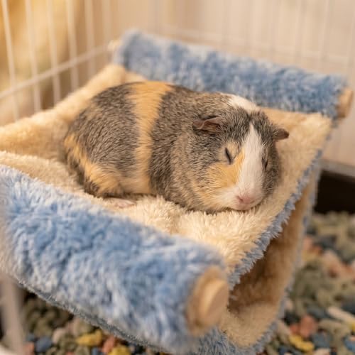 2 Pack Guinea Pig Hammock, Double Layer Rat Bed Soft Plush Hanging Pet Rat Cage Accessories for Squirrel Hamster Small Guinea Pig