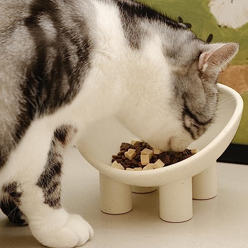 WENSHUO Elevated Cat Bowl, Ceramic Cat Food Bowl, 7 x 6.65 in, Matte Crème | 7 x 6.65 x 4.6 in four-leg ceramic cat bowl. Elevated anti-tip design supports comfortable feeding and helps reduce spills.