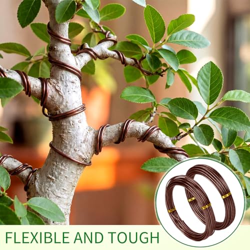 Mudder 5 Roll Aluminum Bonsai Training Wire Tree 1/1.5/2/2.5/3mm 118 Feet Total with Bonsai Wire Cutter Anodized Training for Holding Branches Small Trunks(Brown) - color: Brown, size: 1/1.5/2/2.5/3mm