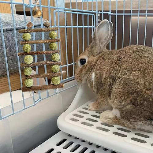 Bunny Chew Toys for Teeth Grinding, 2 Pack Double-Row Natural Grass Cake Apple Wood Hanging Rabbit Toys for Guinea Pigs, Chinchillas, Hamsters Small Pets Cage Decor