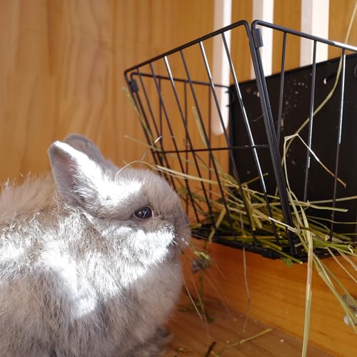 Black Metal Rabbit Foldable Hay Feeder | Hay Rack Holder, Rabbit Accessories & Supplies, For Small Animals