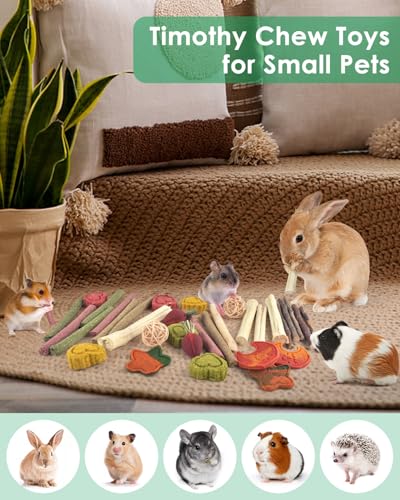 ERKOON 33PCS Bunny Chew Toys for Rabbits Teeth, Natural Rabbit Toys Apple Wood Sticks, Carrot, Timothy Grass Treats for Small Pets, Hamster, Chinchilla, Guinea Pig Dental Care and Treat Teething Toys - size: 33