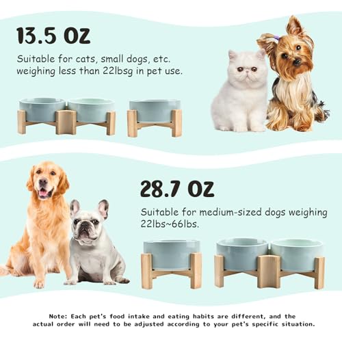 SPUNKYJUNKY 15° Slanted Ceramic Dog and Cat Bowl with Wooden Stand, Tilted Bulldog Food and Water Bowl No Slip Non-Spill for Cats Medium Dogs Big Face Pets 28.7 OZ (3.6 Cups, Morandi Green) - color: Morandi Green, size: 3.6 CUPS × 1