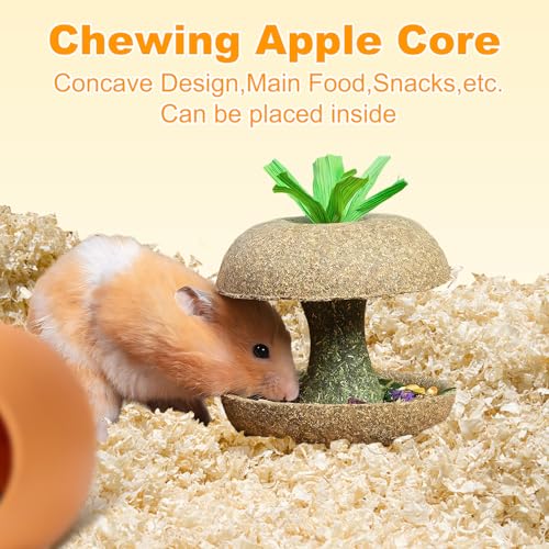 Hamster Chew Toys, Bunny Chew Bowl, Natural Chew Toys for Hamster, Rabbit, Guinea Pig, Chinchilla