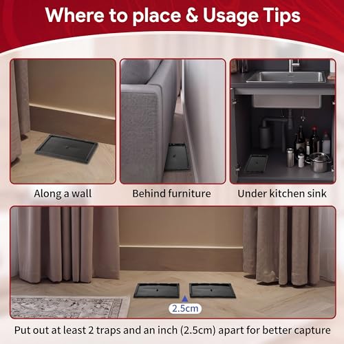 Qualirey 48 Pack Rat Glue Traps 10x5 Inch, Pre-Baited Heavy Duty Mouse Sticky Traps for Mice Snakes Roaches, Large Adhesive Glue Boards with Peanut Scent, No Touch Disposal, Indoor Outdoor (Black) | Catches Mice Snakes Roaches Scorpions Insects, Peanut Sc