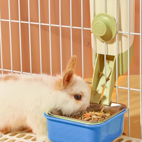 Pet Hanging Bowl for Crates, 2 in 1 Small Dog Puppy Bowl Removable Stainless Rabbit Cat Feeder Food Water Bowls for Puppy Cat Bird Rabbit Hamster Guinea Pig Ferret Small Animals - color: Blue