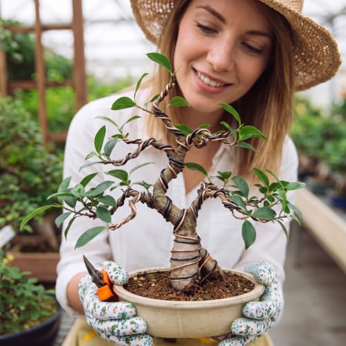 Mudder 5 Roll Aluminum Bonsai Training Wire Tree 1/1.5/2.0mm 160 Feet Total with Bonsai Wire Cutter Anodized Training for Holding Branches Small Trunks(Classic) - color: Classic, size: 1/1.5/2.0mm