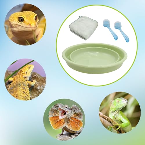 Bearded Dragon Accessories, Bearded Dragon Pool with 2 Bath Brushes and 1 Towel, Reptile Bath Tub, Reptile Swimming Pool for Lizard, Geckos, Tortoises - size: Small