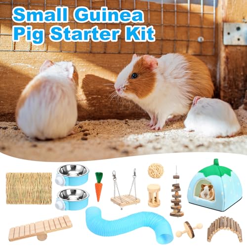Youyole 13 Pcs Guinea Pig Starter Kit Hamster Toys Bed Guinea Pig Cage Accessories with Tunnel Grass Mats Pet Food Bowl for Christmas Chinchillas Hedgehogs Ferrets Rabbit Hideout Essentials(Blue) - color: Blue