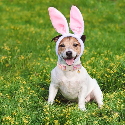 ARING PET Easter Dog Collar-Cute Adjustable Pink Chick Pet Collars Puppy Collar Gifts with Quick Release Buckle for Girl Boy Dogs-XS - color: Easter-Pink Chick, size: X-Small