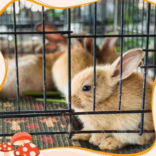 Drydiet 16 x 12 Inch 2 Pcs Rabbit Scratch Mat Natural Bunny Scratching Pad Claws and Teeth Care Rabbit Mats for Cages Chew Toys Bunny Pet Cage Bedding for Biting Sleeping Nesting