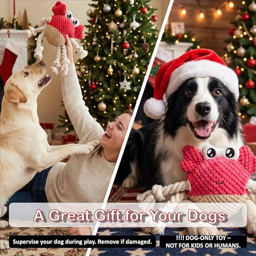 Plush Squeaky Crab Dog Toy with Rope Legs - 5.5''X9.5'' Durable Dog Chew Toy for Small Dogs | Built-in Whistle Sounds | Teeth Cleaning | Interactive Dog Toys （RED）