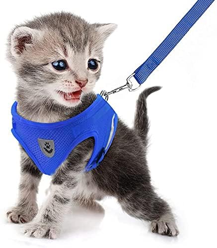 FEimaX Dog Harness and Leash Set for Walking, Soft Mesh Adjustable Easy Control Lightweight Cat Vest Harnesses with Reflective Strips, Escape Proof Small Dogs Cats Vests (Blue, Small) - color: Blue, size: Small