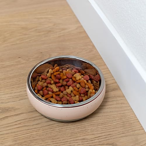 Fringe Studio Speckled Stripe Multi Medium Ceramic Pet Bowl W/Stainless Steel Bowl Insert (6.5" Diameter x 2.5" H, 26 fl.oz.), PetShop Collection (793MD001) (Pack of 2) - color: Speckled Stripe Multi, size: Medium (Pack of 2)