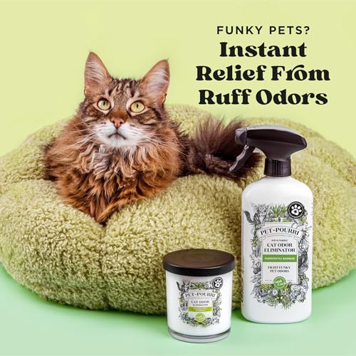 Pet-Pourri Smell Ya Litter Cat Litter Deodorizer Spray, Purrfectly Bamboo 3.4 Fl Oz, Up to 170 Uses, Pet Odor Remover with Essential Oils for Air, Carpet, Urine, Vet Recommended, Bergamot Bamboo Scent - size: 3.4 Fl Oz (Pack of 1)
