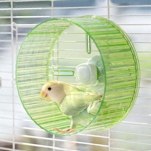 6.8-inch Parrot Silent Running Wheel, Parrot Exercise Wheel, Birds, Parrots, Turtles, Hamsters, Small Animal Quiet Running Wheel (Green)
