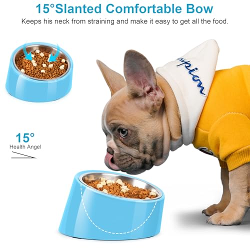 Tilted Dog Bowl Non-Slip & Non-Spill Pet Feeder with Elevated Detachable Melamine Stand, Easy to Get Food Dog Dish, L/300ml Sky Blue - color: Sky Blue, size: Large(300ml)