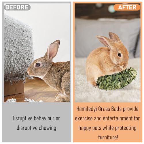 Hamiledyi Rabbit Chew Ball Bunny Timothy Grass Ball Natural Woven Chewing Toys Small Animal Activity Play Balls Chew Toys for Bunny Rabbits Hamster Guinea Pigs Chinchilla Gerbils 4PCS - style: Banana 4 PCS
