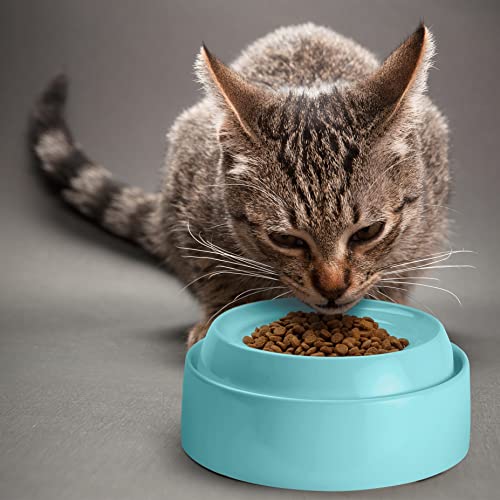 CatGuru Cat Bowls, Whisker Friendly Food Bowl for Indoor Cats, Reliefs Whisker Fatigue, Wide Kitten Dish, Non Slip Pet Dishes, Shallow Pet Plates (Aruba, (Pack of 2)) - color: Aruba, size: Dish - Set of Two