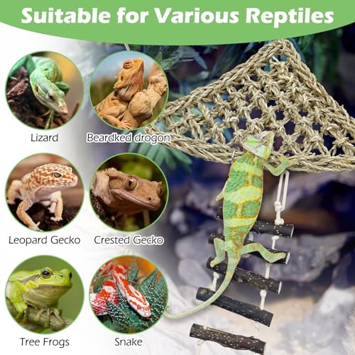 BNOSDM Reptile Hammock Reptile Wooden Ladder Bridge Bearded Dragon Hammock with Suction Cup Lizard Tank Accessories for Chameleon Hermit Crabs Ball Python Gecko Snake