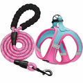 haapaw Dog Harness with Leash Set, No Pull Adjustable Reflective Step-in Puppy Harness with Thickened Padded Vest for Extra-Small/Small Medium Dogs - color: Blue / Pink, size: XS