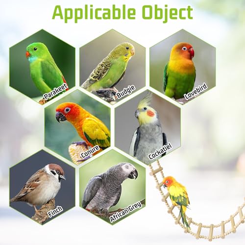 BNOSDM Long Bird Ladder Bridge 39.4 in Wooden Parakeet Climbing & Swing Toys Bird Cage Accessories for Budgies, Cockatiels, Conures, Lovebirds, Canaries (16-Steps) - size: 16-Steps-39in