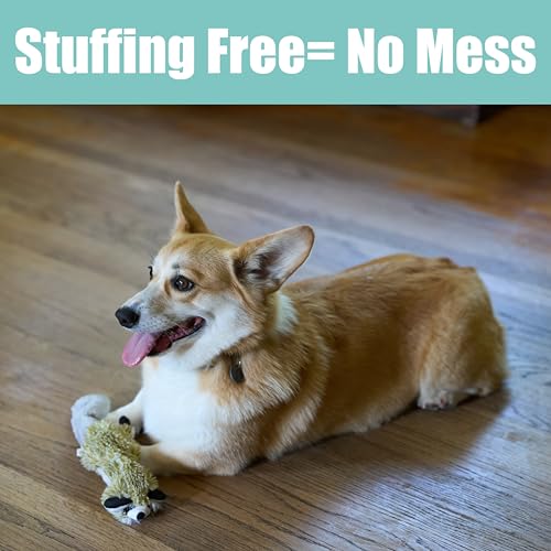 SPOT Skinneeez Raccoon 14 Inch Stuffing-Free Plush Dog Toy – Soft, Mess-Free Toy with One Squeaker for Small & Medium Dogs, Best for Light to Moderate Chewers - style: Mini Raccoon