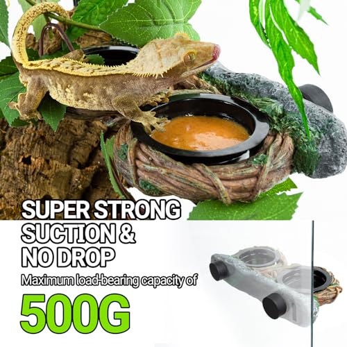 REPTI ZOO Magnetic Reptile Feeding Ledge, Gecko Feeder Ledge with 4PCS Cups, Hollow Vine Food Dish, Reptile Water Bowl for Bearded Dragon Lizard Snake Turtle, Terrarium Tank Accessories - size: Magnetic- Dual Feeder
