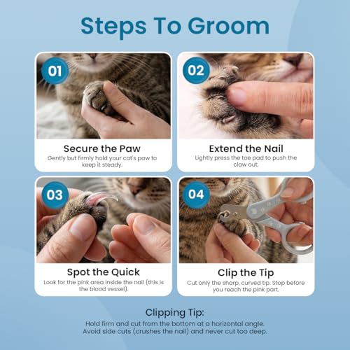 Necoichi Purrcision Stainless Steel Cat Nail Clipper, Made in Japan (Mint) - style: Mint