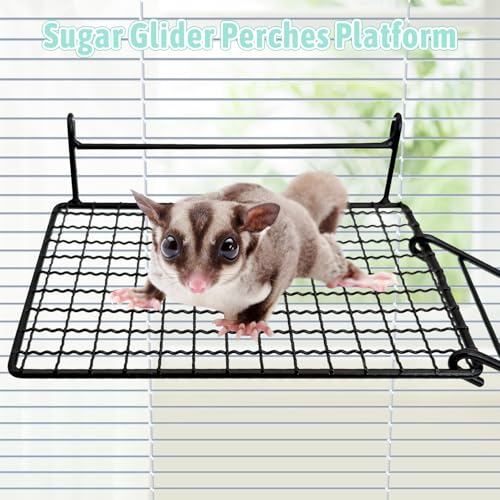 BNOSDM 4 PCS Sugar Glider Toy Stainless Steel Platform Squirrel Perch with Climbing Ladder Small Animals Cage Accessories for Guinea Pig, Chinchillas, Gerbils, Mice, Rats, Mouse - color: Black