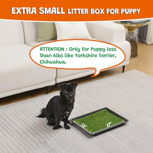 MEEXPAWS Dog Grass Pee Pads for Dogs with Tray | Extra Small 17 x 13 in for Puppy Less Than 6 lbs | 2× Artificial Grass Pads Replacement | Rapid Drainage | Indoor Dog Litter Box | Hemmed Edge - size: Small - 18 x 14 inch