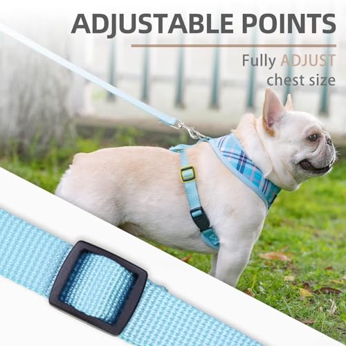 PUPTECK Soft Mesh Dog Harness and Leash Set Pet Puppy Cat Comfort Padded Vest No Pull Harnesses, Light Blue, S - color: Blue, size: S (NECK: 12", CHEST: 14"-18")