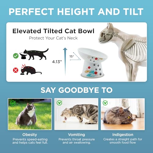 Necoichi Ceramic Elevated Cat Food Bowl, 15° Tilted (Fuji, Regular Tilted) - color: Fuji, size: Regular Tilted