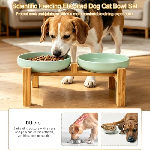 Shallow Elevated Cat Bowls with Bamboo Stand, 6.1 Inch Wide Ceramic Cat Dish Whisker Friendly, 2 Pack Pet Food and Water Plates - color: Mint Green elevated