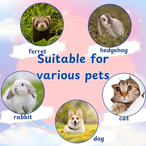 Ferret Treat Ball Interactive Toy Balls for Small Animal, Enrichment Toys Ferrets Dry Food Ball for Ferrets Guinea Pig Rat Chinchilla Hedgehog Bunny, Pet Ferret Accessories (XL, Wiggle) - size: XL