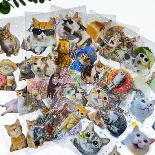 96PCS Holographic Cat Stickers, 8 Sheets Transparent Fun Meme Cat Stickers for Water Bottles Laptop Scrapbook, Cute Kitten Decals for Adults Kids Teens - style: Modern