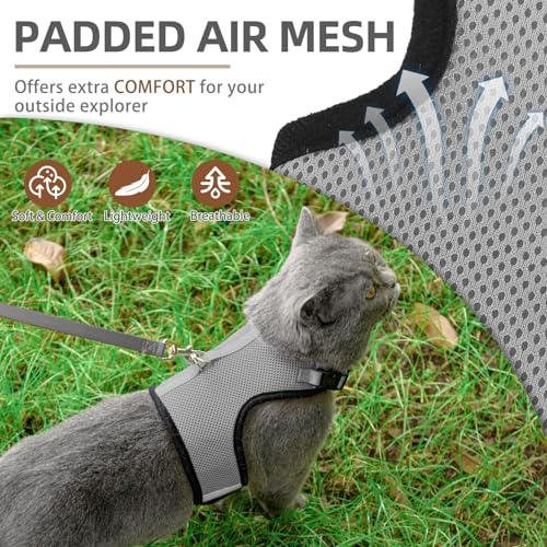 PUPTECK Soft Mesh Cat Vest Harness and Leash Set Puppy Padded Pet Harnesses Escape Proof for Cats Small Dogs Rabbits Bunny - color: Grey, size: L(NECK 8.5"-10.5", CHEST 12.5"-15", 6-10 lbs)