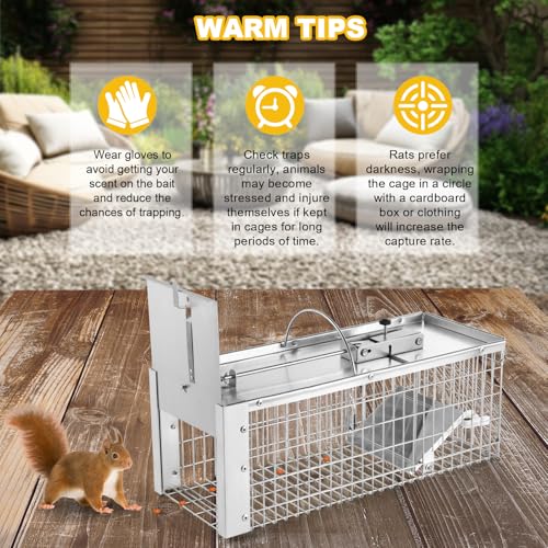 Squirrel Trap Live Animal Humane Cage Trap Catch Rats, Mice, Chipmunk, Weasel and Other Rodents for Indoor and Outdoor