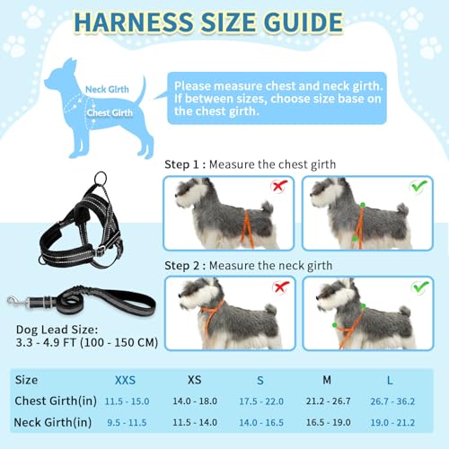 SlowTon No Pull Small Dog Harness and Leash Set with Front Clip | Soft Padded, Neck & Chest Adjustable, Lightweight, Anti-Twist, Puppy Vest Harness Pet Lead Combo for Small Medium Dog, B, XS - color: Black, size: X-Small