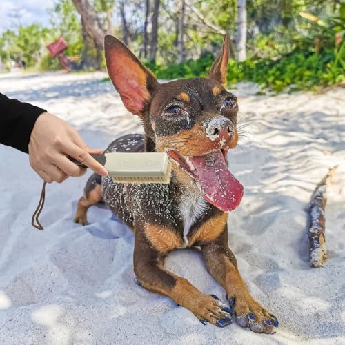 2 PCS Small Sand Brush Remover for Beach, Surf Off Beach Sports, Chairs, Pets and More