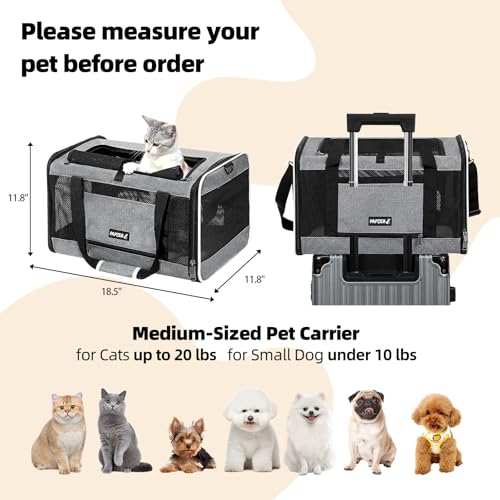 Cat Carrier Soft-Sided Travel Bag for Medium to Large Cat Over 15lbs | Small Puppy Dog Carry Crate 12 Pounds, Top Entry, Breathable Mesh, Pet Kitten Rabbit Cage Bag Transport Kennel Collapsible - color: Grey