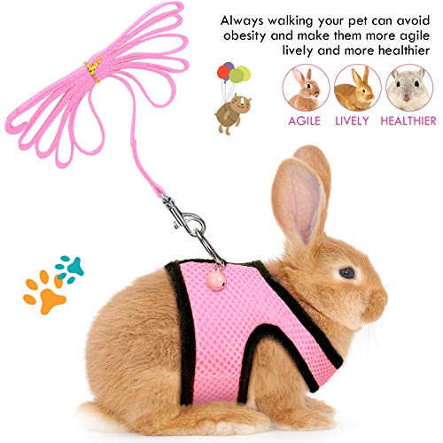 SATINIOR 2 Sets Guinea Pig Harness and Leash Adjustable Soft Mesh Harness Bell No Pulling Comfort Vest for Baby Ferret Rats Hamster Bunny Rabbit Chinchilla and Small Pet(Blue, Pink,XS) - color: Blue, Pink, size: Extra Small