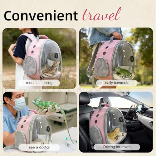 Reptile Travel Backpack Carrier with Reptile Thermometer and Humidity Gauge & Harness Leash Lizard Travel Cage Space Capsule Clear Bubble Window Astronaut Bearded Dragon Bag for Ball Python - color: Pink